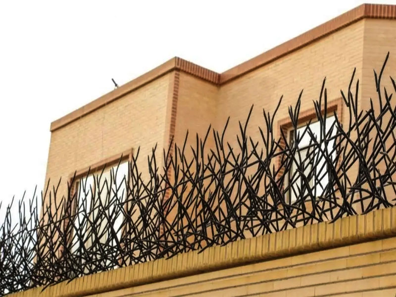 قیمت حفاظ شاخ گوزنی در اصفهان